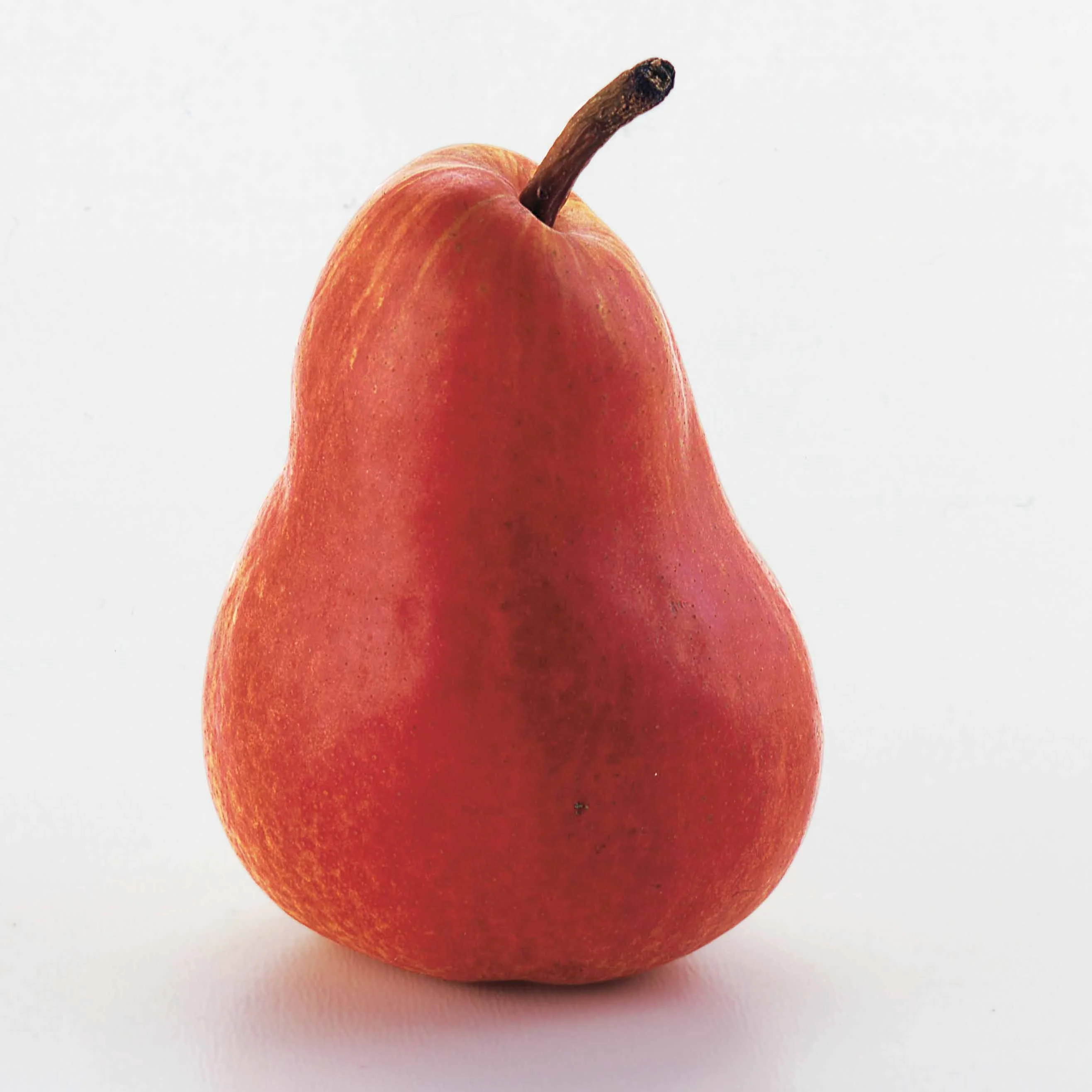 Birne ‘Williams Rot’ - Image 4