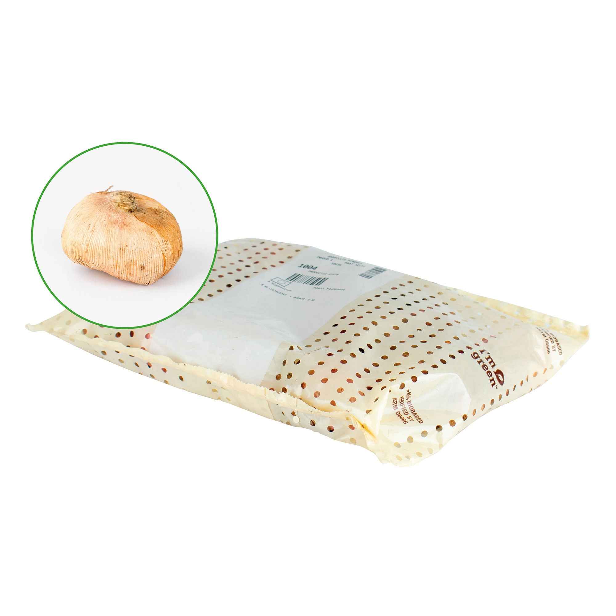 Gladiolen-Kollektion (x50) - Image 8