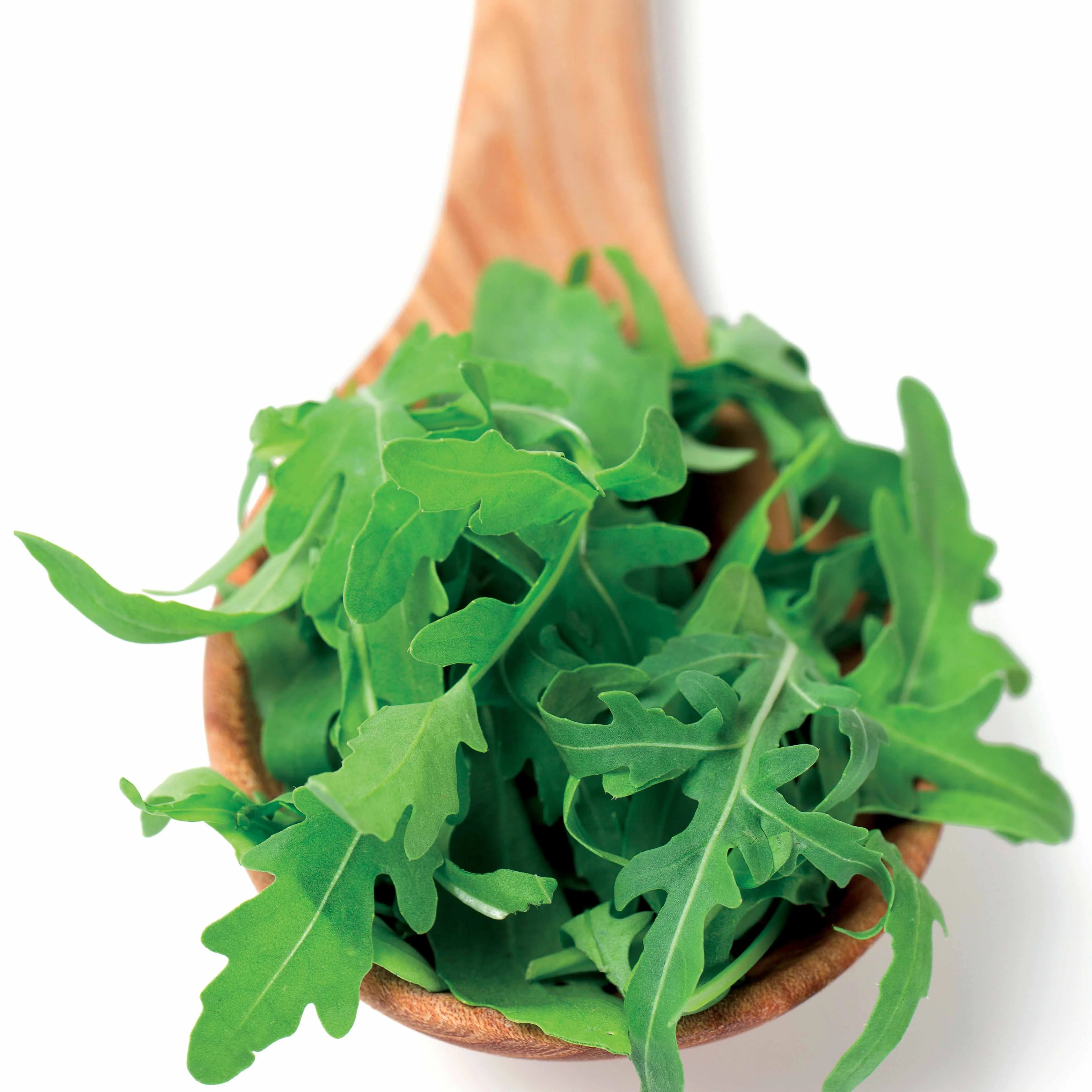 Rucola - Image 3