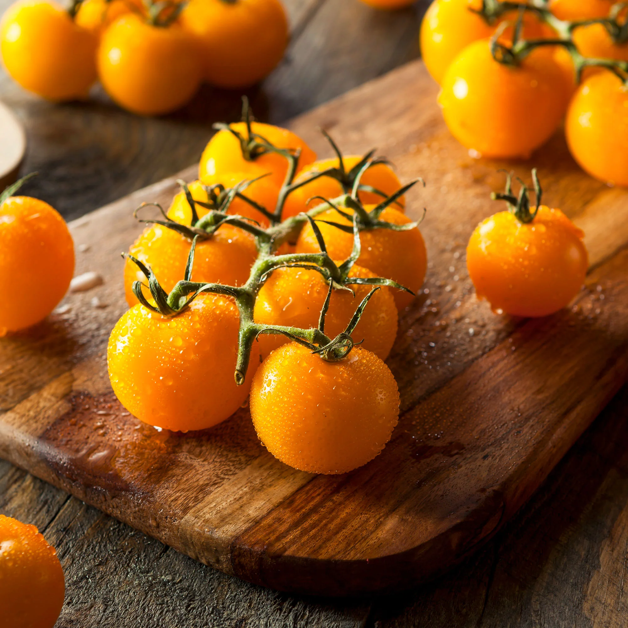 Gelbe Cherrytomate ‚Raisin‘ - Image 2