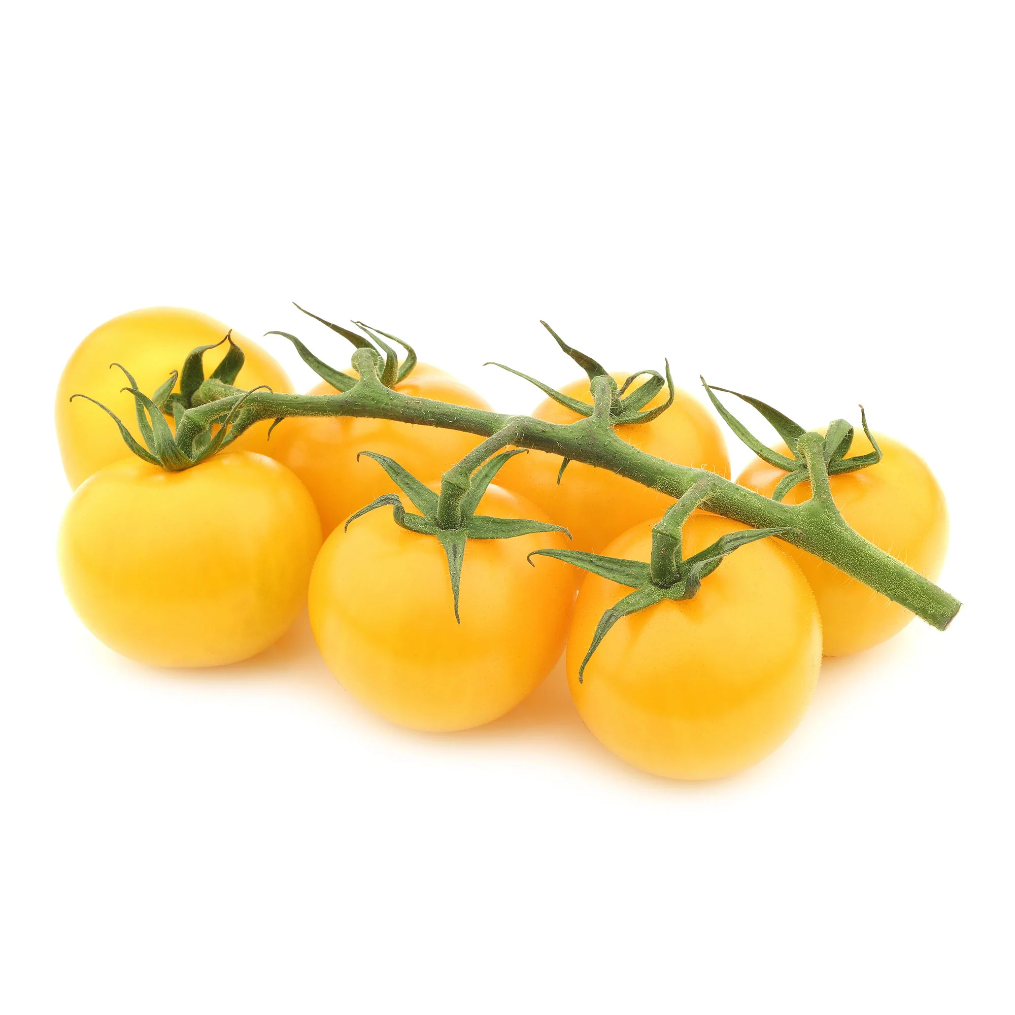 Gelbe Cherrytomate ‚Raisin‘ - Image 3